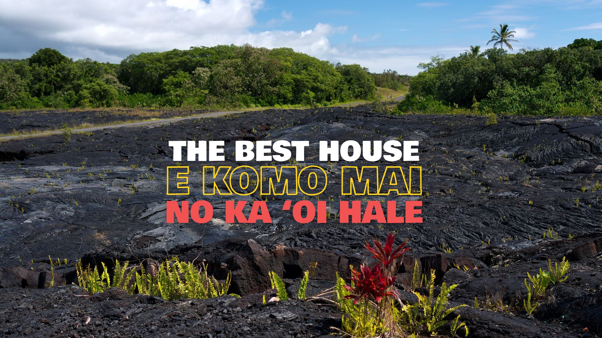 The Best House E Komo Mai No Ka Oi Hale